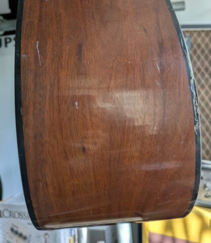 EKO Acoustic Bass Made in Italy (circa early 70's) - Image 3