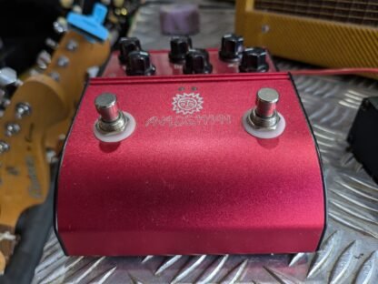 Analog Man ARD X20 Dual Analogue Delay with Amazei Foot Controller - Image 3