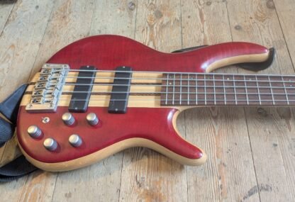 Cort A5 Thru neck 5 string Bass - Image 2