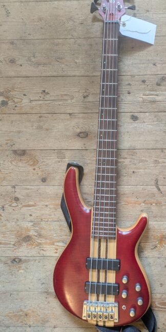 Cort A5 Thru neck 5 string Bass