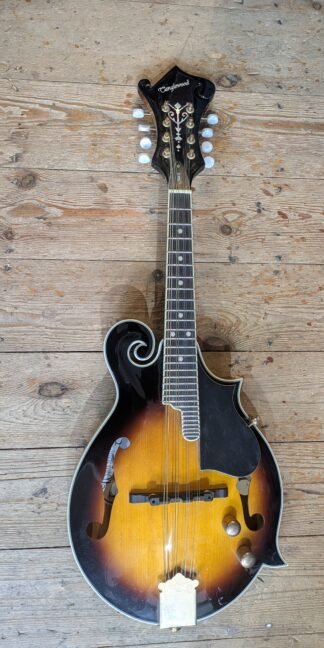 Tanglewood TMX-E Electro acoustic Mandolin #1105140743