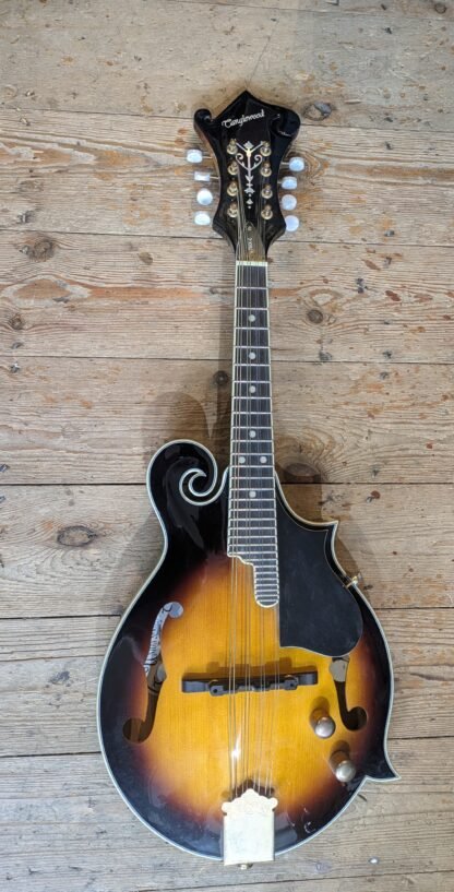 Tanglewood TMX-E Electro acoustic Mandolin #1105140743