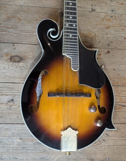 Tanglewood TMX-E Electro acoustic Mandolin #1105140743 - Image 5