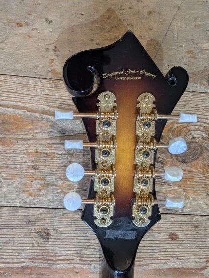 Tanglewood TMX-E Electro acoustic Mandolin #1105140743 - Image 4